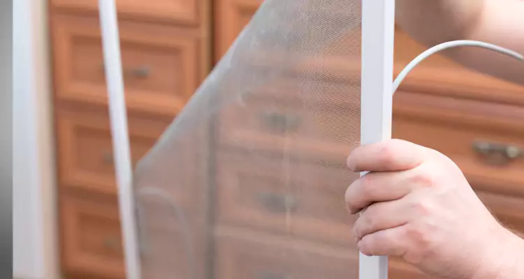 Privacy Mesh Screen Door Installation in Brent, FL