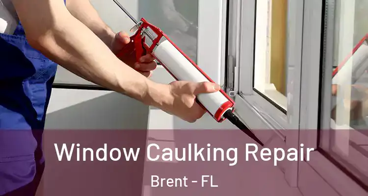  Window Caulking Repair Brent - FL